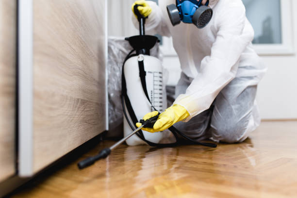 Best Best Pest Control Companies  in Rio Dell, CA