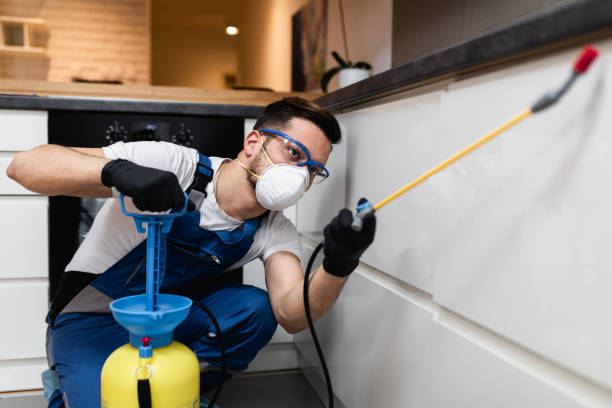 Best Pest Control for Businesses  in Rio Dell, CA