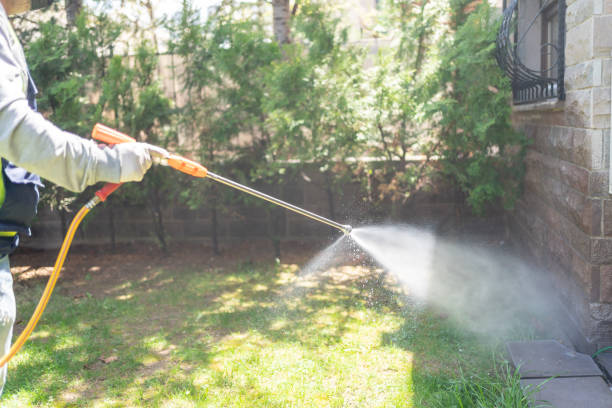 Best Mosquito Control Services  in Rio Dell, CA