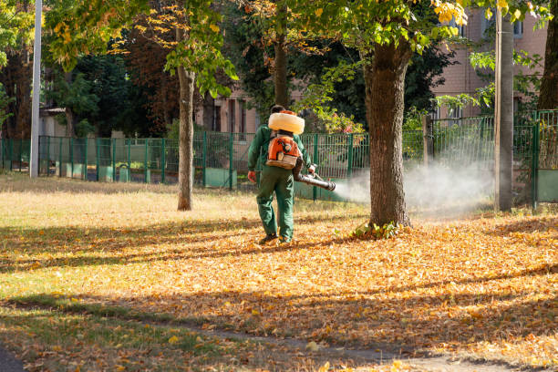 Best Cockroach Control Services  in Rio Dell, CA