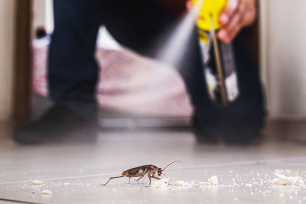 Best Pest Control for Restaurants  in Rio Dell, CA