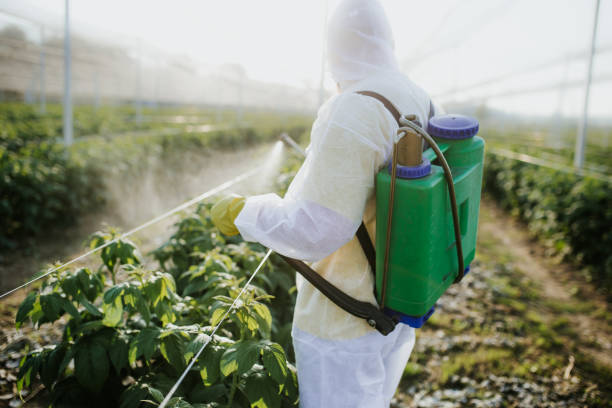 Best Pest Inspection Near Me  in Rio Dell, CA